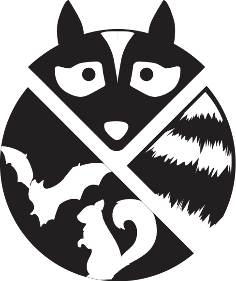 A+ Rated Wildlife Removal // (847) 532-3008